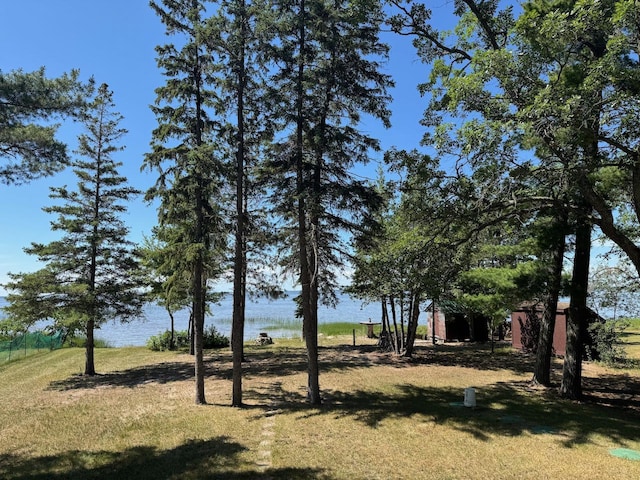 53533 Arbor Ridge Rd NE, Waskish, MN 56685 - photo 30