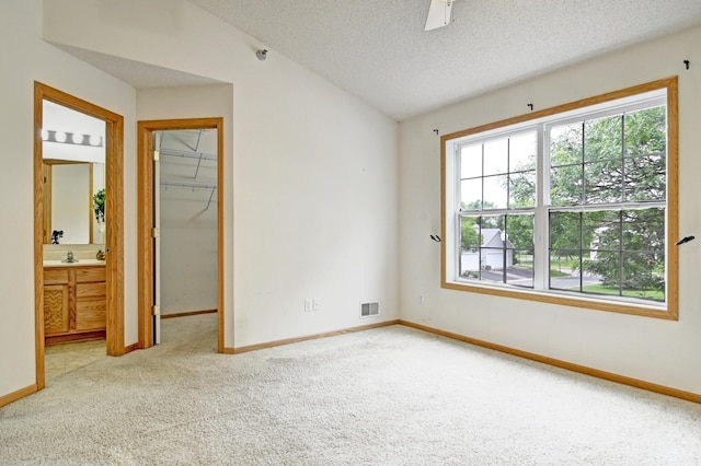 11307 Chisholm Cir NE Unit C, Blaine, MN 55449 - unfurnished bedroom featuring carpet floors, multiple windows, a textured ceiling, a spacious closet, and ensuite bathroom