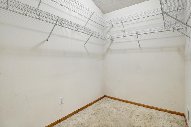 11307 Chisholm Cir NE Unit C, Blaine, MN 55449 - walk in closet with carpet flooring