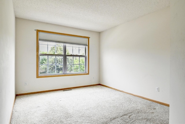 11307 Chisholm Cir NE Unit C, Blaine, MN 55449 - unfurnished room featuring carpet floors and a textured ceiling