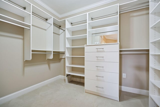 875 Lake St N Unit 318, Wayzata, MN 55391 - spacious closet with carpet flooring