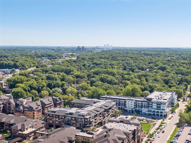 875 Lake St N Unit 318, Wayzata, MN 55391 - bird's eye view of a forest