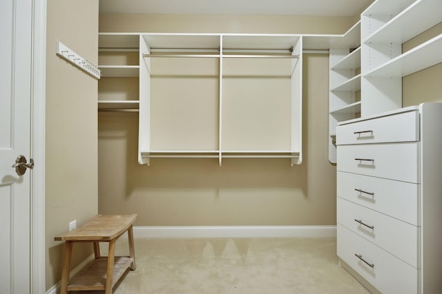 875 Lake St N Unit 318, Wayzata, MN 55391 - spacious closet featuring carpet flooring