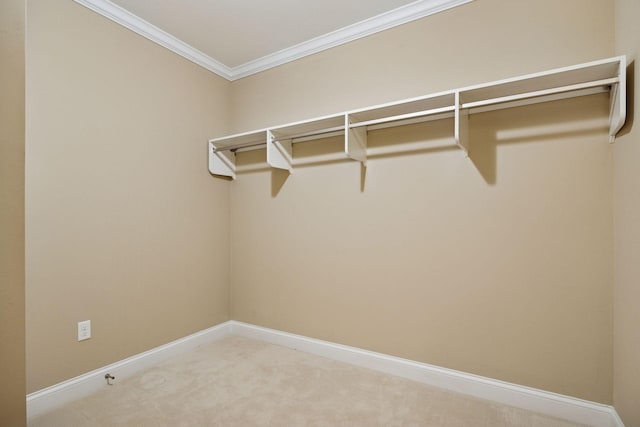 875 Lake St N Unit 318, Wayzata, MN 55391 - spacious closet featuring carpet