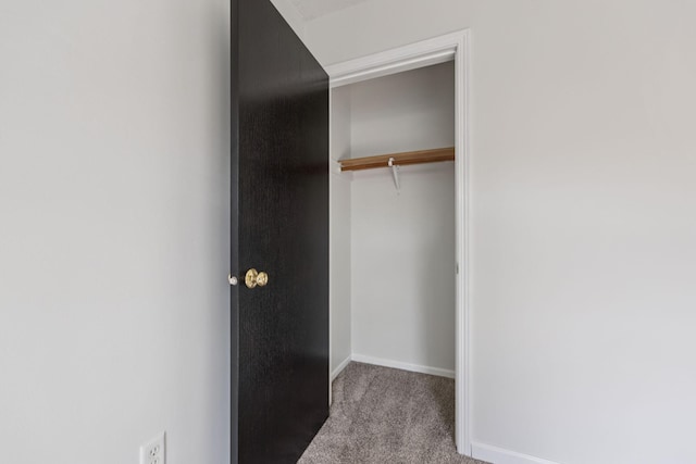 12651 8th Ave S, Zimmerman, MN 55398 - view of closet