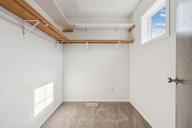 12651 8th Ave S, Zimmerman, MN 55398 - walk in closet featuring carpet floors