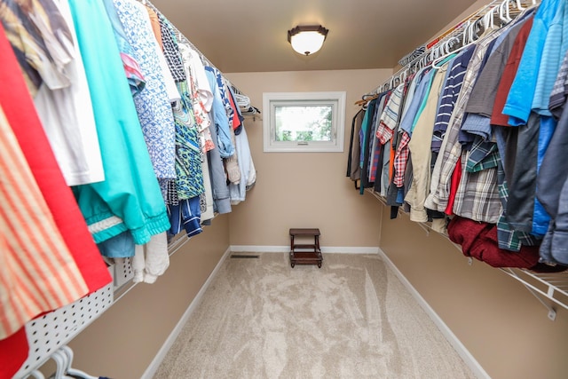 915 Darling Dr NW, Alexandria, MN 56308 - spacious closet with carpet