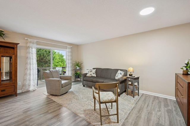 1807 Lachman Ave NE, Saint Michael, MN 55376 - living area featuring light wood finished floors and baseboards