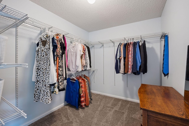 1807 Lachman Ave NE, Saint Michael, MN 55376 - walk in closet featuring carpet flooring