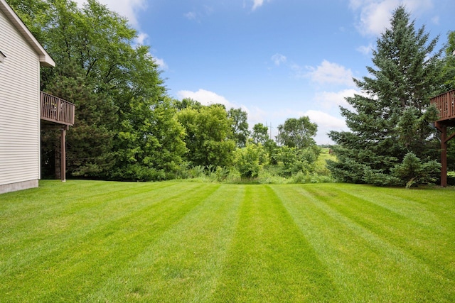 1807 Lachman Ave NE, Saint Michael, MN 55376 - view of grassy yard