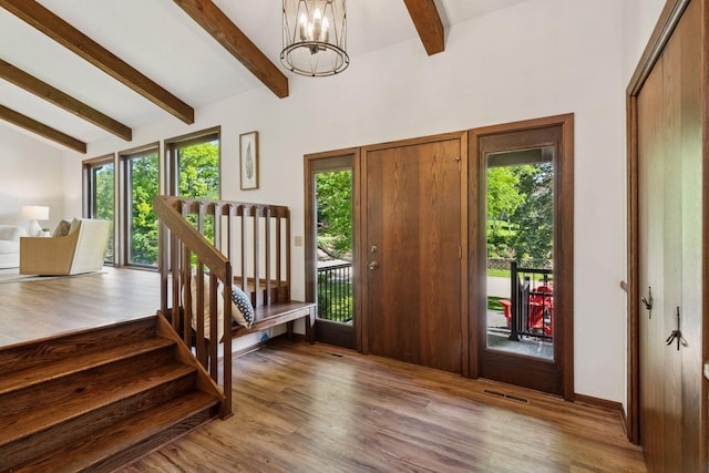 6205 Saint Albans Cir, Edina, MN 55439 - entrance foyer featuring healthy amount of natural light, a chandelier, and wood finished floors