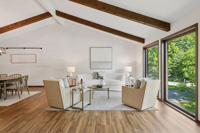 6205 Saint Albans Cir, Edina, MN 55439 - living area featuring wood finished floors and a chandelier