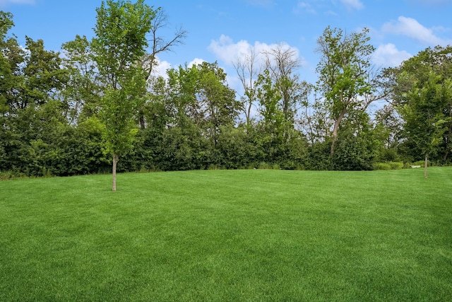 5630 Alvarado Ln N, Plymouth, MN 55446 - photo 5