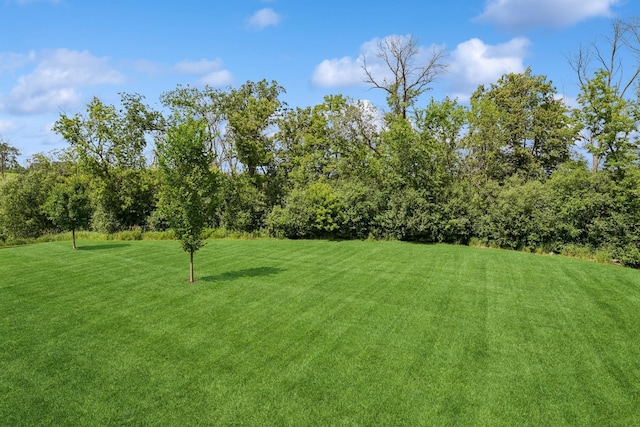 5630 Alvarado Ln N, Plymouth, MN 55446 - photo 10