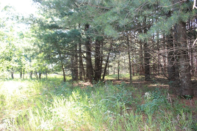 TBD 128th St, Staples, MN 56479