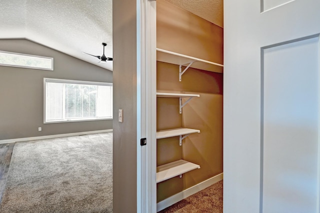 38391 Hunters Ridge Trl, North Branch, MN 55056 - view of closet