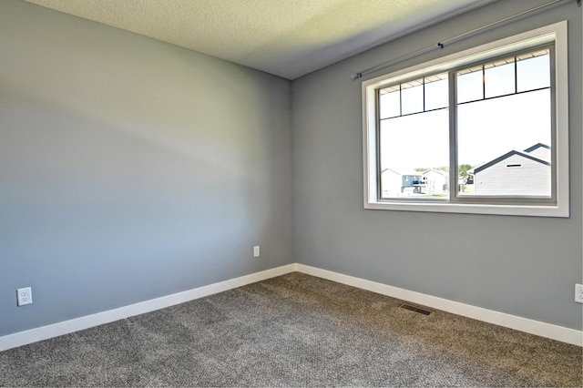 38391 Hunters Ridge Trl, North Branch, MN 55056 - spare room with healthy amount of natural light, dark colored carpet, and a textured ceiling