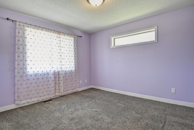 38391 Hunters Ridge Trl, North Branch, MN 55056 - empty room featuring a textured ceiling and carpet