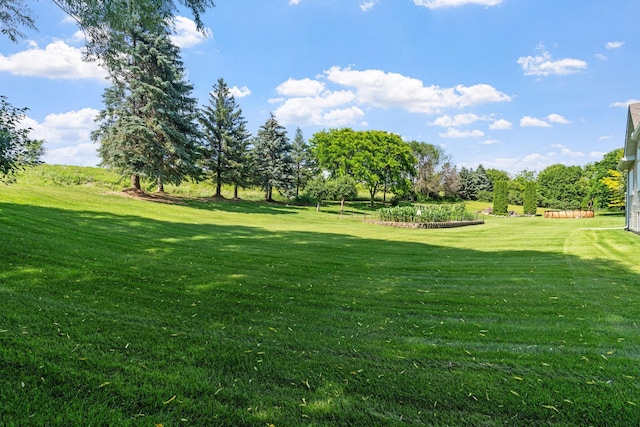 3114 Canyon Cir, Chaska, MN 55318 - photo 8