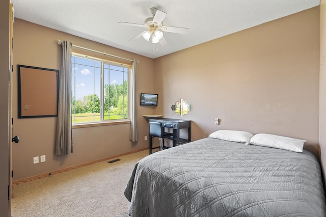 10720 49th Ct NE, Albertville, MN 55301 - photo 22