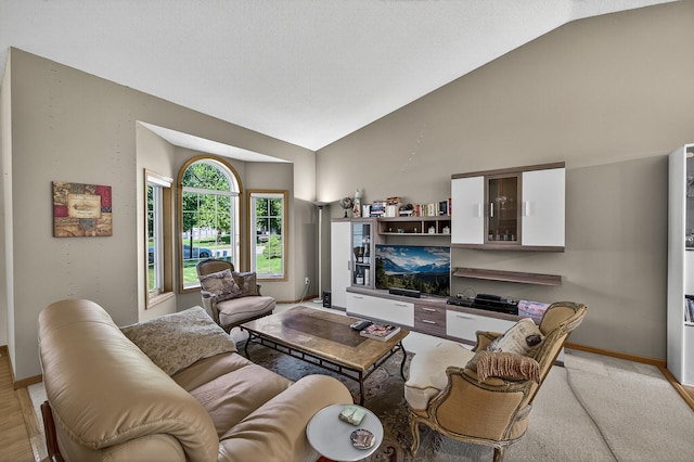 7217 92nd Trl N, Brooklyn Park, MN 55445 - living area with vaulted ceiling