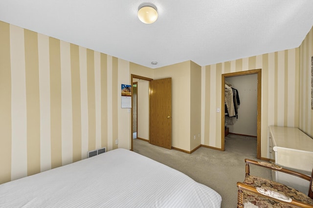 7217 92nd Trl N, Brooklyn Park, MN 55445 - carpeted bedroom with a spacious closet and a closet