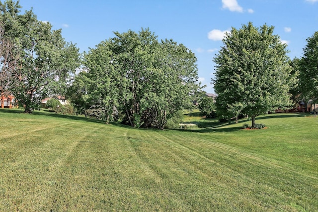 7217 92nd Trl N, Brooklyn Park, MN 55445 - view of green lawn
