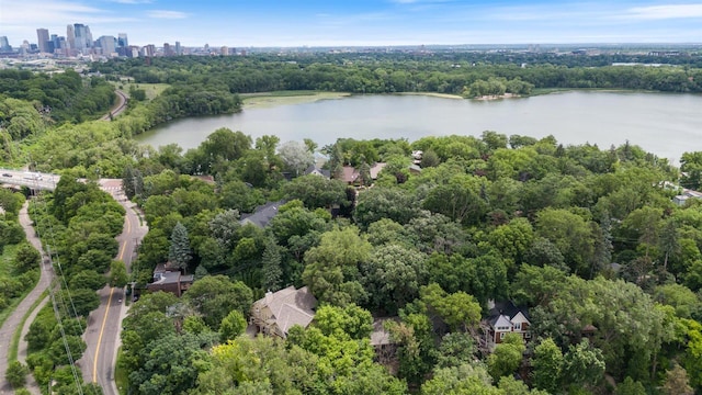 1921 Ewing Ave S, Minneapolis, MN 55416 - aerial view of a nearby body of water and skyline