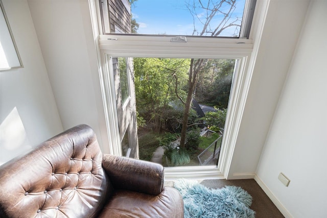 1921 Ewing Ave S, Minneapolis, MN 55416 - living area featuring carpet