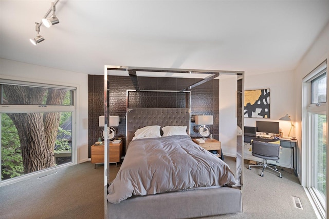 1921 Ewing Ave S, Minneapolis, MN 55416 - carpeted bedroom featuring rail lighting and a desk