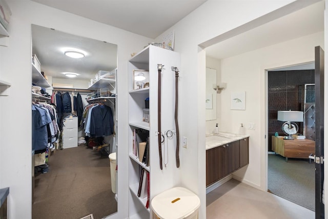 1921 Ewing Ave S, Minneapolis, MN 55416 - walk in closet with light colored carpet