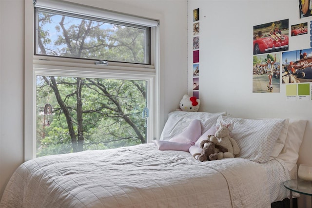 1921 Ewing Ave S, Minneapolis, MN 55416 - view of bedroom