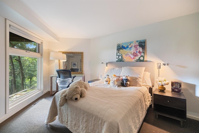 1921 Ewing Ave S, Minneapolis, MN 55416 - view of carpeted bedroom