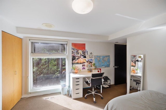 1921 Ewing Ave S, Minneapolis, MN 55416 - carpeted bedroom featuring a desk