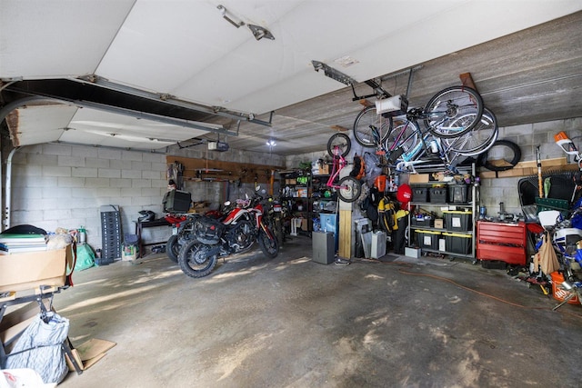 1921 Ewing Ave S, Minneapolis, MN 55416 - garage featuring a garage door opener and concrete block wall