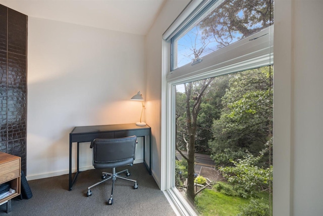 1921 Ewing Ave S, Minneapolis, MN 55416 - photo 34