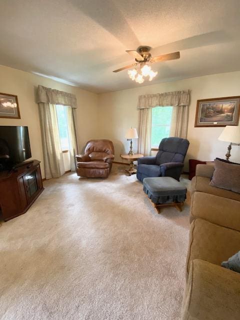16167 280th St, Sebeka, MN 56477 - photo 8