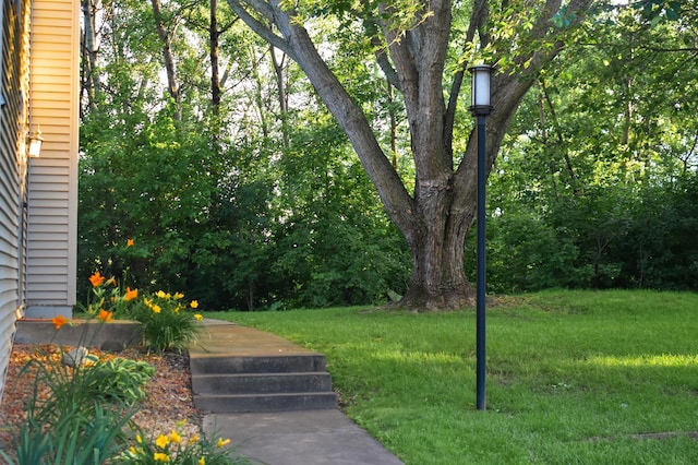 4463 Arden View Ct, Arden Hills, MN 55112 - view of grassy yard
