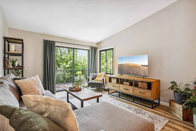 4463 Arden View Ct, Arden Hills, MN 55112 - living area with wood finished floors and lofted ceiling