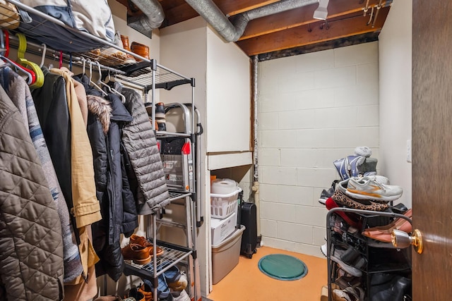 4463 Arden View Ct, Arden Hills, MN 55112 - view of storage room