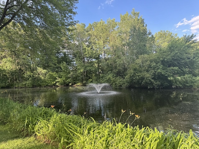 4463 Arden View Ct, Arden Hills, MN 55112 - water view with a forest