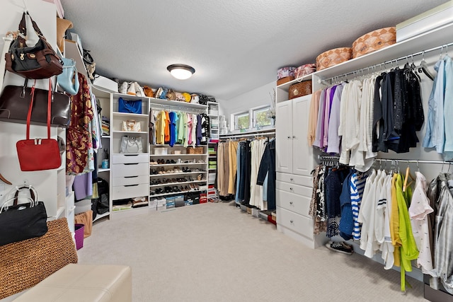 2935 Minnehaha Curv E, Minnetonka, MN 55391 - photo 48