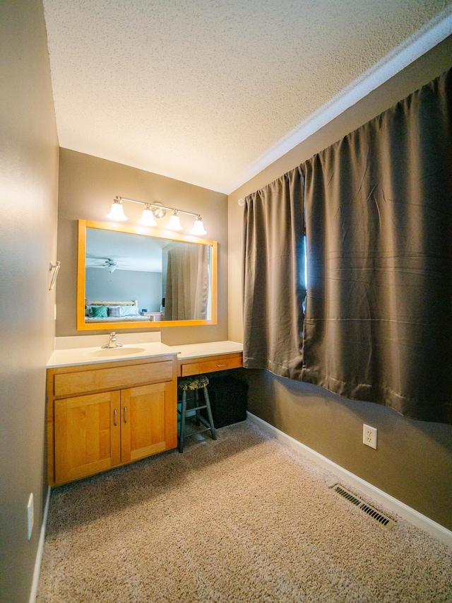 519 Graceview Loop, Saint Joseph, MN 56374 - bathroom featuring vanity and a textured ceiling