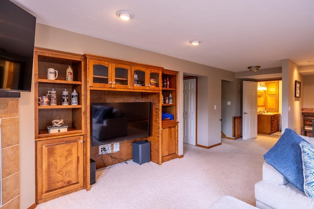1100 27th St SW, Austin, MN 55912 - living area with light carpet and baseboards