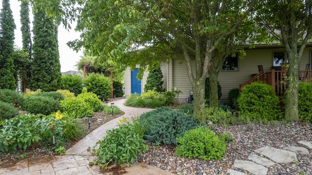 1100 27th St SW, Austin, MN 55912 - view of yard