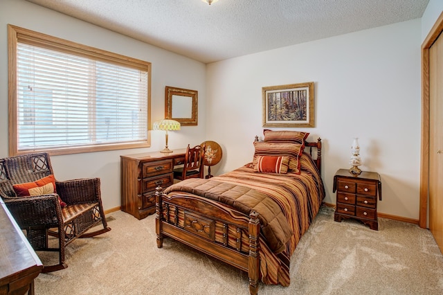 12707 Ivywood St NW, Coon Rapids, MN 55448 - bedroom with light carpet and a textured ceiling