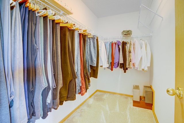 12707 Ivywood St NW, Coon Rapids, MN 55448 - walk in closet featuring carpet floors