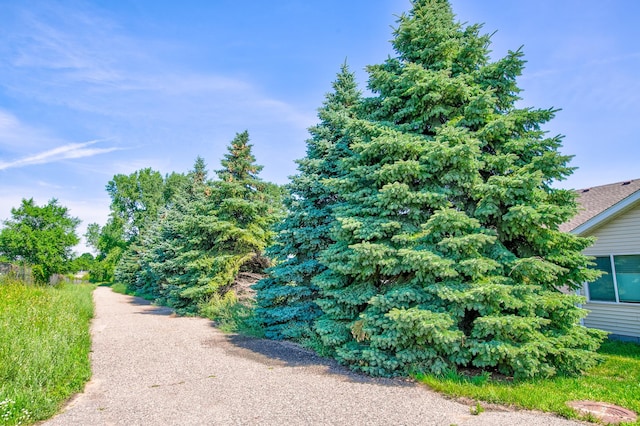 12707 Ivywood St NW, Coon Rapids, MN 55448 - view of road