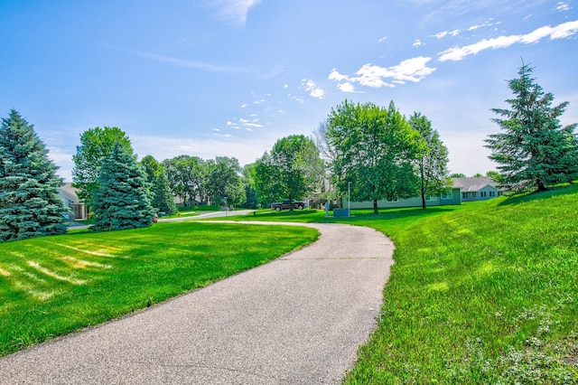 12707 Ivywood St NW, Coon Rapids, MN 55448 - view of property's community featuring a yard