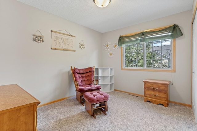 3214 Juniper Cir Unit C, Woodbury, MN 55125 - sitting room with carpet floors and a textured ceiling